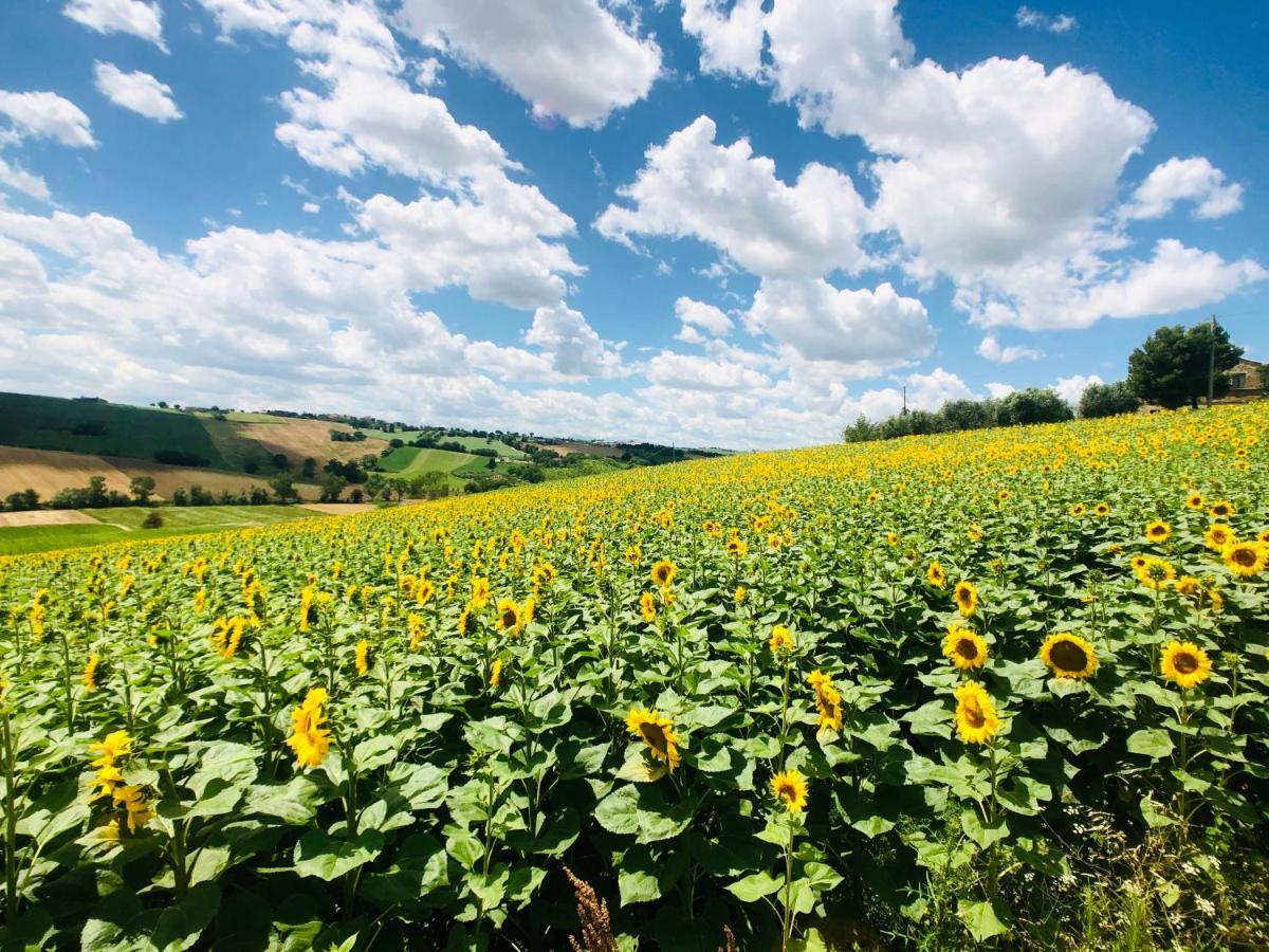 Ritorno Alla Natura Recanati Eksteriør bilde
