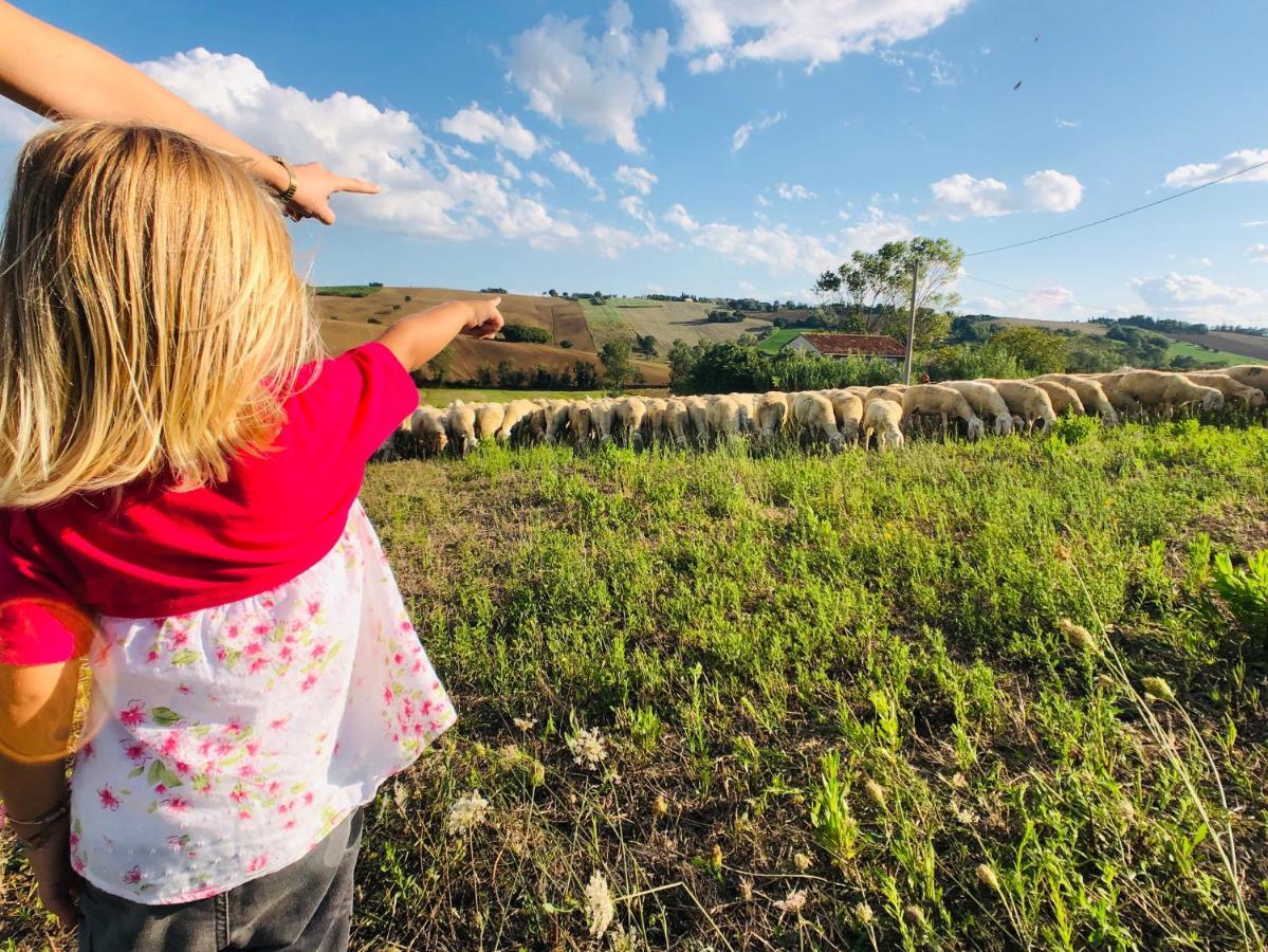 Ritorno Alla Natura Recanati Eksteriør bilde